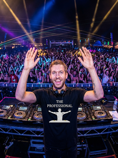 The Professional DJ 3